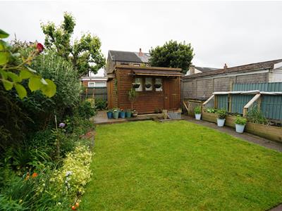 Picture 9